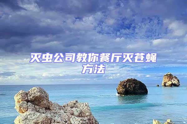 滅蟲(chóng)公司教你餐廳滅蒼蠅方法