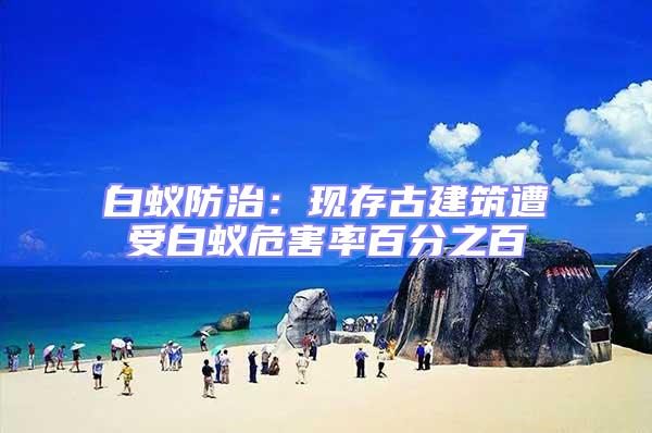 白蟻防治:現存古建筑遭受白蟻危害率百分之百