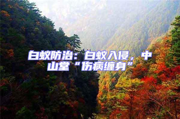 白蟻防治：白蟻入侵，中山堂“傷病纏身”
