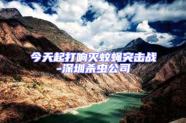 今天起打響滅蚊蠅突擊戰(zhàn)-深圳殺蟲公司