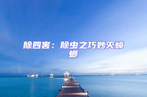 除四害:除蟲之巧妙滅蟑螂