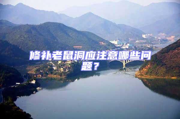 修補老鼠洞應注意哪些問題?