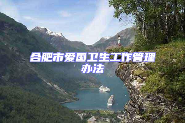 合肥市愛國(guó)衛(wèi)生工作管理辦法