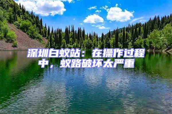 深圳白蟻站:在操作過程中,蟻路破壞太嚴重