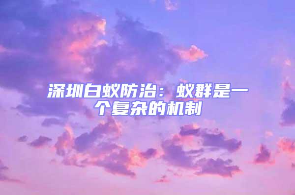深圳白蟻防治:蟻群是一個復雜的機制