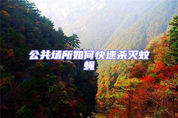 公共場(chǎng)所如何快速殺滅蚊蠅