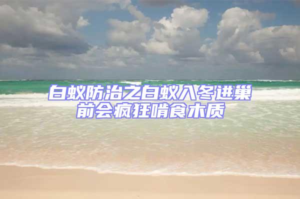白蟻防治之白蟻入冬進(jìn)巢前會(huì)瘋狂啃食木質(zhì)