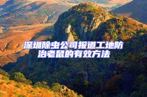 深圳除蟲(chóng)公司報(bào)道工地防治老鼠的有效方法