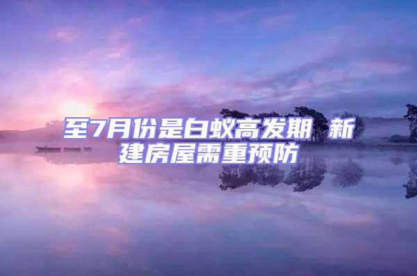 至7月份是白蟻高發(fā)期 新建房屋需重預(yù)防