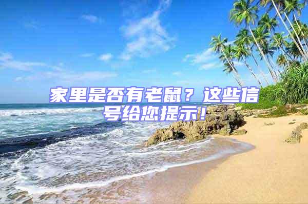 家里是否有老鼠?這些信號給您提示!