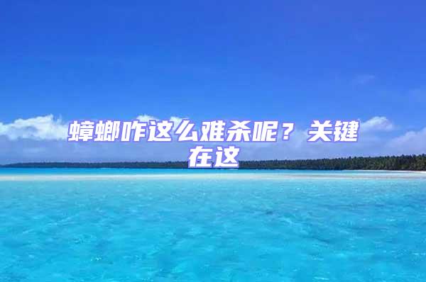 蟑螂咋這么難殺呢?關鍵在這