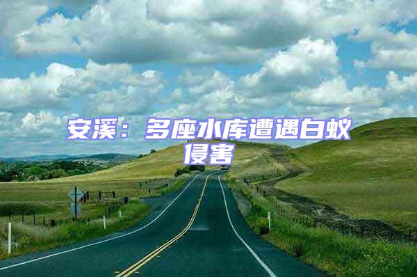 安溪:多座水庫遭遇白蟻侵害