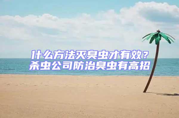 什么方法滅臭蟲才有效？殺蟲公司防治臭蟲有高招