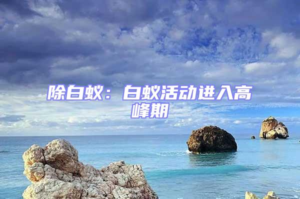 除白蟻:白蟻活動(dòng)進(jìn)入高峰期