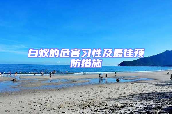白蟻的危害習(xí)性及最佳預(yù)防措施