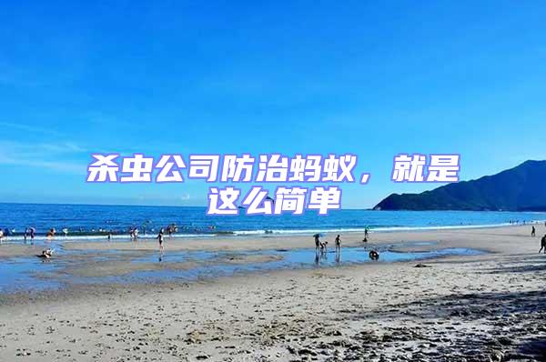 殺蟲公司防治螞蟻,就是這么簡單
