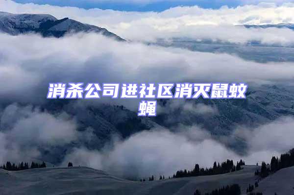 消殺公司進(jìn)社區(qū)消滅鼠蚊蠅