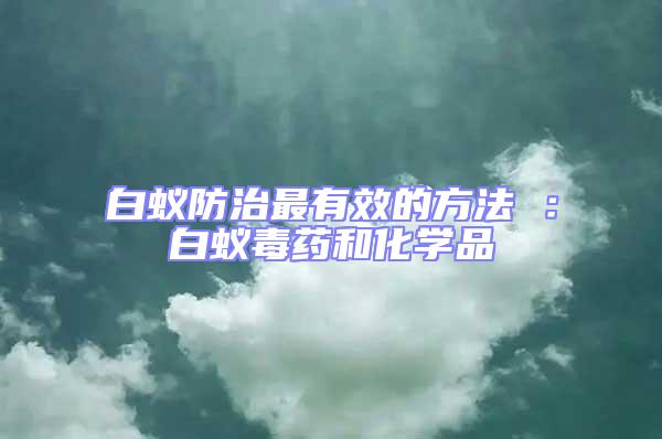 白蟻防治最有效的方法 :白蟻毒藥和化學品