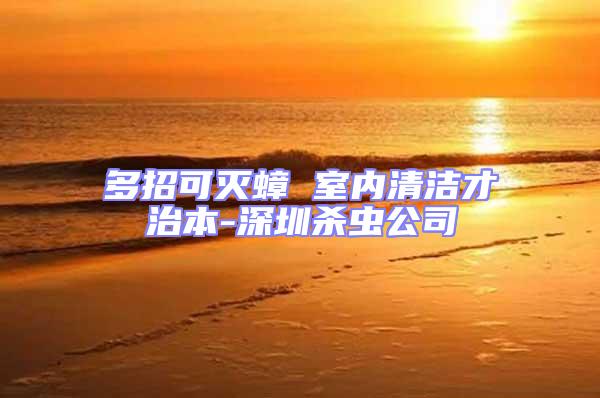 多招可滅蟑 室內(nèi)清潔才治本-深圳殺蟲(chóng)公司
