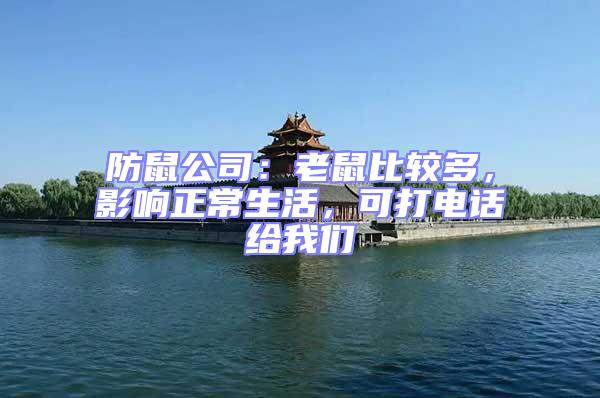 防鼠公司:老鼠比較多,影響正常生活,可打電話給我們