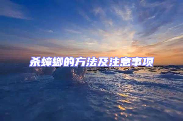殺蟑螂的方法及注意事項(xiàng)