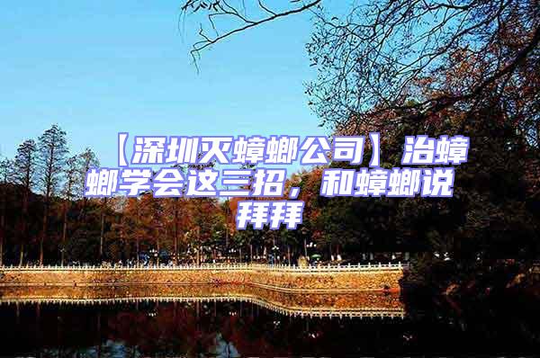 【深圳滅蟑螂公司】治蟑螂學(xué)會這三招，和蟑螂說拜拜