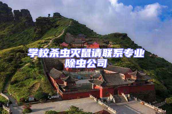 學校殺蟲滅鼠請聯系專業除蟲公司