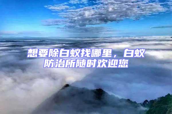 想要除白蟻找哪里,白蟻防治所隨時歡迎您