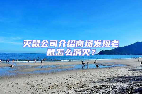 滅鼠公司介紹商場發現老鼠怎么消滅?
