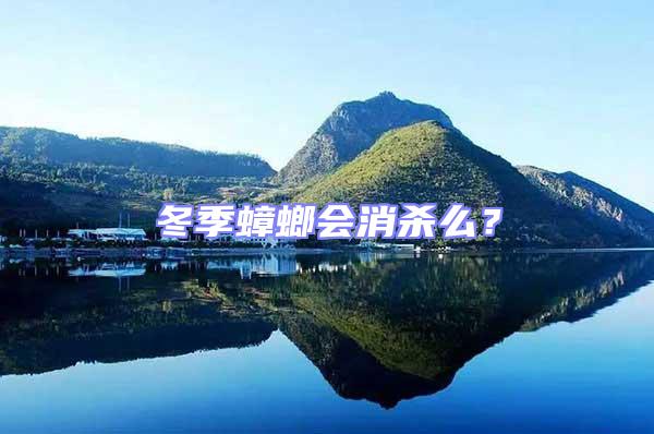 冬季蟑螂會消殺么？