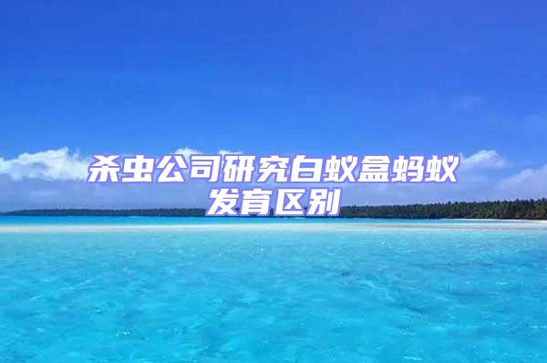 殺蟲公司研究白蟻盒螞蟻發(fā)育區(qū)別
