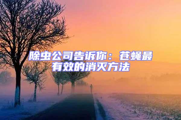 除蟲(chóng)公司告訴你:蒼蠅最有效的消滅方法