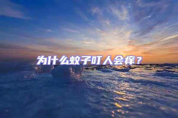 為什么蚊子叮人會癢？