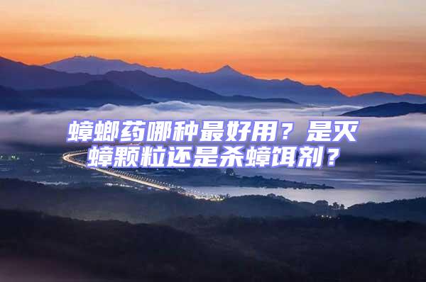 蟑螂藥哪種最好用?是滅蟑顆粒還是殺蟑餌劑?