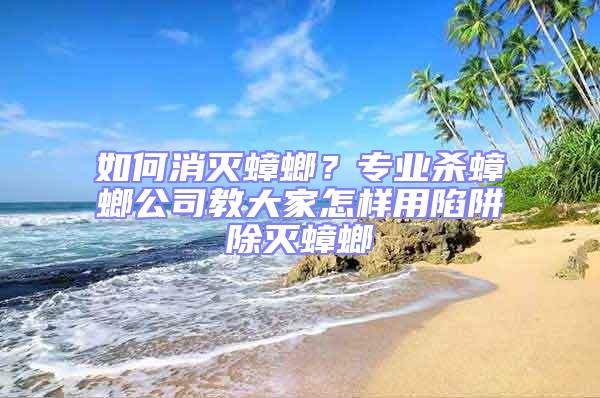 如何消滅蟑螂？專業殺蟑螂公司教大家怎樣用陷阱除滅蟑螂