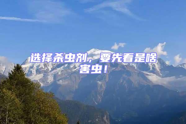 選擇殺蟲劑，要先看是啥害蟲！