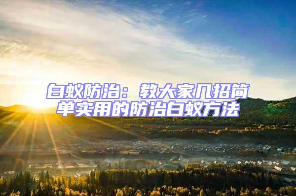 白蟻防治:教大家幾招簡單實用的防治白蟻方法
