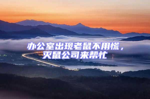 辦公室出現(xiàn)老鼠不用慌,滅鼠公司來幫忙