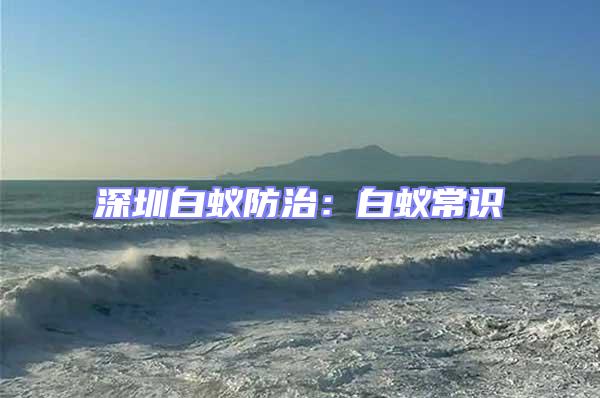 深圳白蟻防治:白蟻常識(shí)