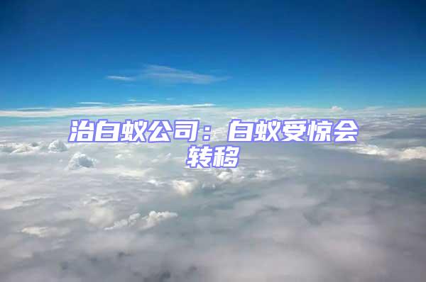 治白蟻公司:白蟻受驚會轉移