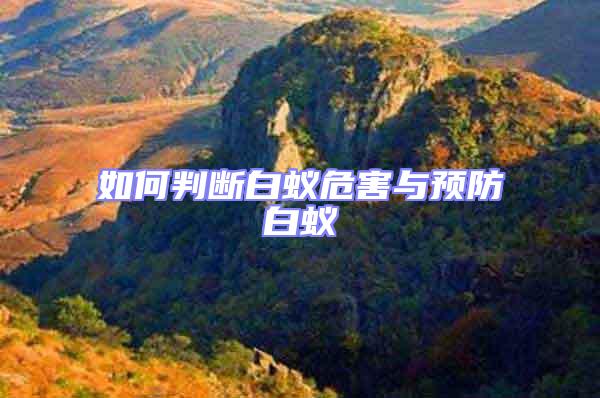 如何判斷白蟻危害與預(yù)防白蟻