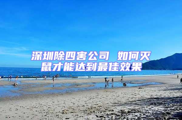 深圳除四害公司 如何滅鼠才能達(dá)到最佳效果