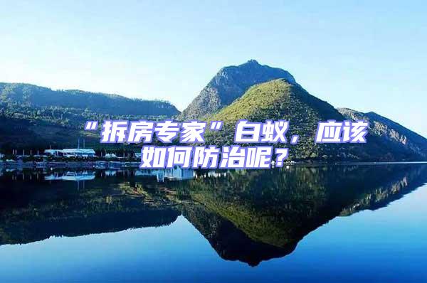 “拆房專家”白蟻,應(yīng)該如何防治呢?