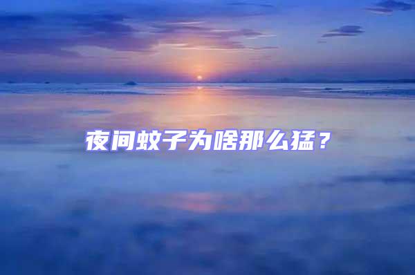 夜間蚊子為啥那么猛？
