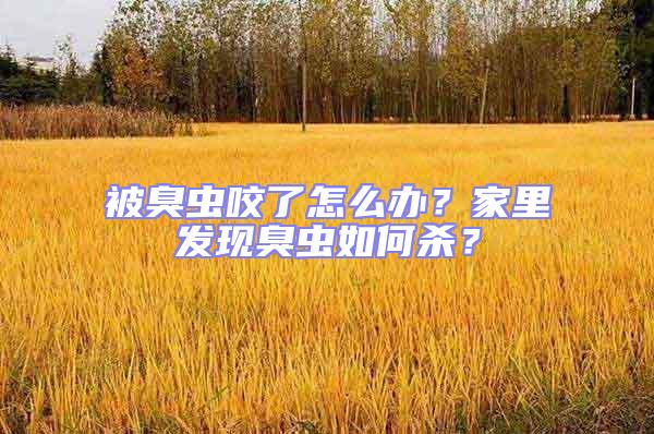 被臭蟲咬了怎么辦?家里發(fā)現(xiàn)臭蟲如何殺?