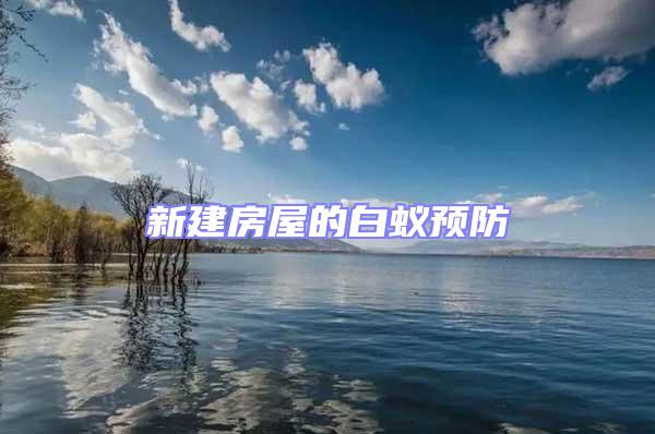 新建房屋的白蟻預(yù)防