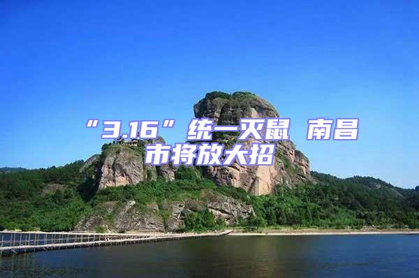 “3.16”統(tǒng)一滅鼠 南昌市將放大招