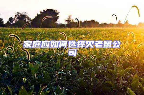 家庭應(yīng)如何選擇滅老鼠公司