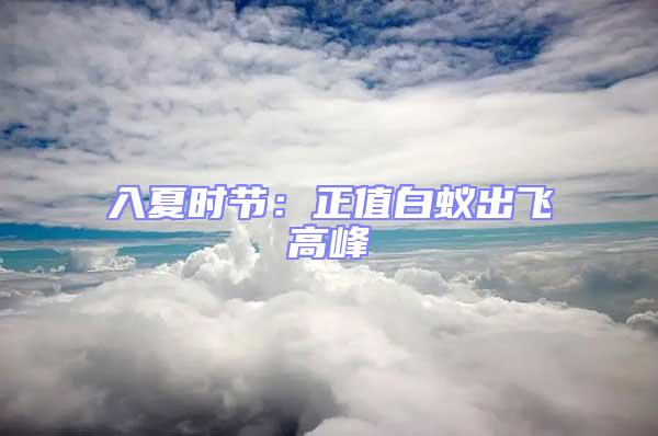 入夏時節:正值白蟻出飛高峰