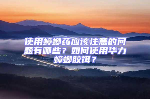 使用蟑螂藥應該注意的問題有哪些？如何使用華力蟑螂膠餌？